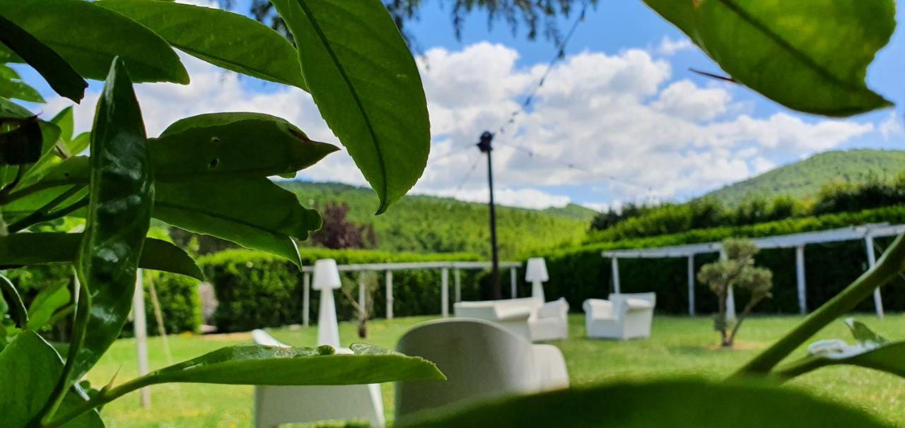 Sotto Il Cielo Hotel ピニョーラ エクステリア 写真
